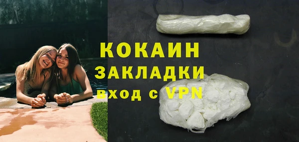ГАЛЛЮЦИНОГЕННЫЕ ГРИБЫ Тавда