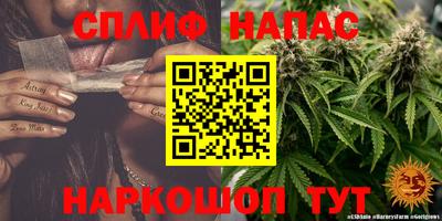наркотики Гусев
