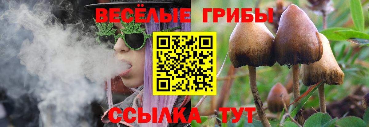 Псилоцибиновые грибы Cubensis  Вход с VPN  Славянск-на-Кубани 